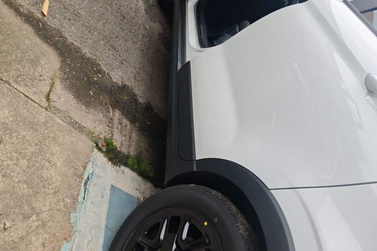 Used Leapmotor T03 2024 310 Comfort Edition Left Side Sill