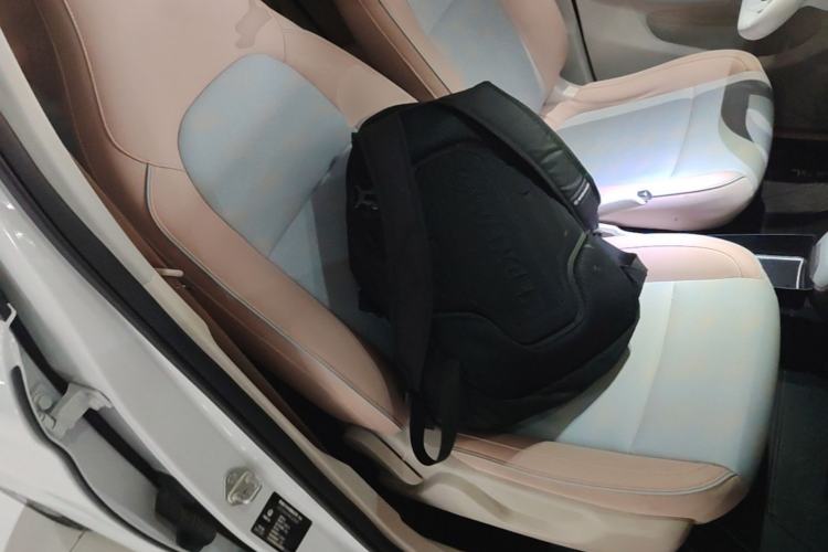 Used Leapmotor T03 2024 200 Lite Edition Right Front Seat