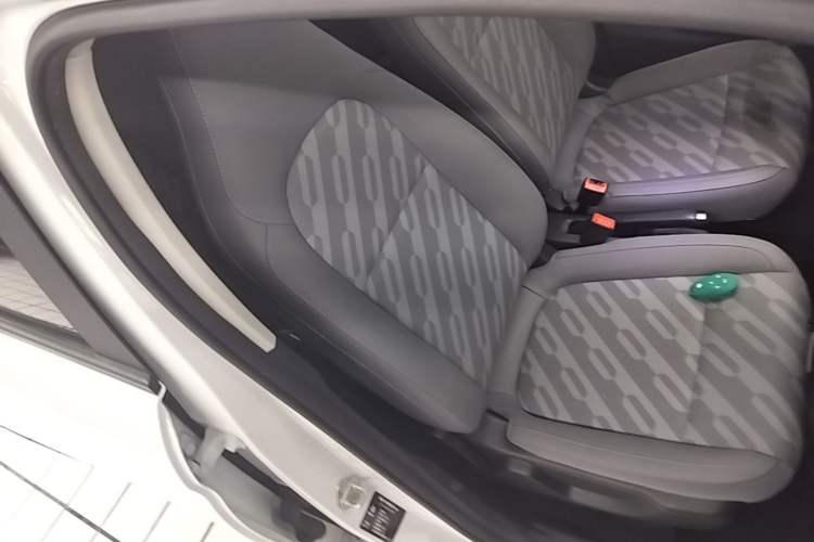 Used Leapmotor T03 2024 200 Lite Edition Right Front Seat