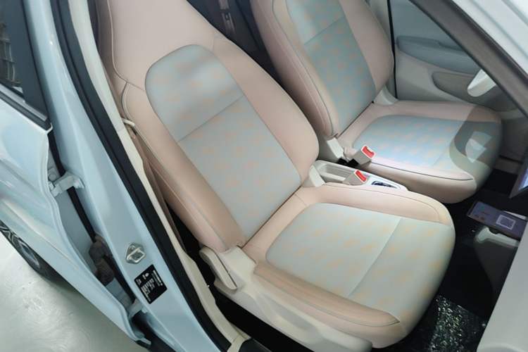 Used Leapmotor T03 2024 310 Comfort Edition Right Front Seat