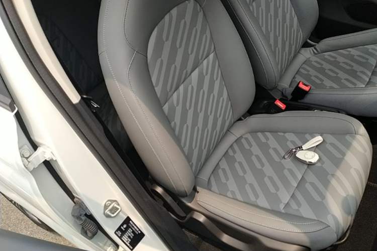 Used Leapmotor T03 2024 310 Comfort Edition Right Front Seat
