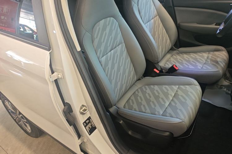 Used Leapmotor T03 2024 310 Comfort Edition Right Front Seat