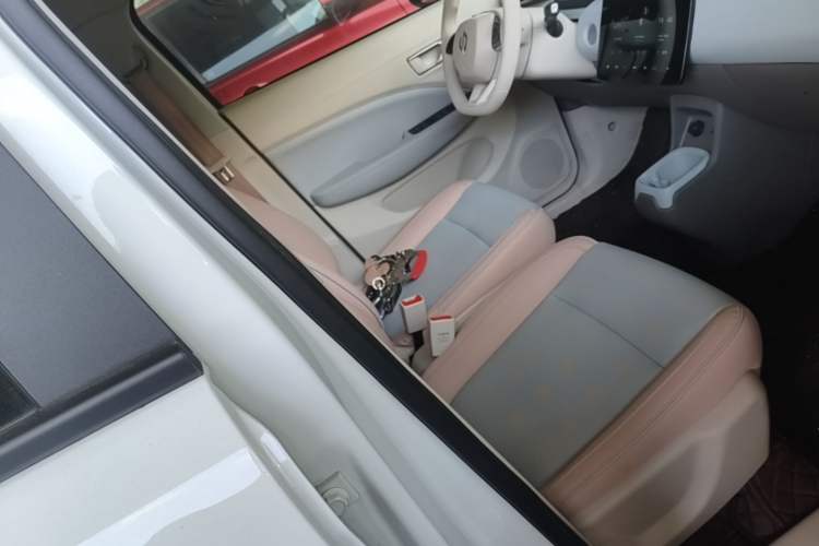 Used Leapmotor T03 2024 403 Comfort Edition Right Front Seat
