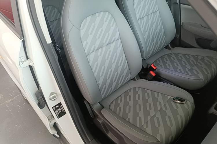 Used Leapmotor T03 2024 403 Comfort Edition Right Front Seat