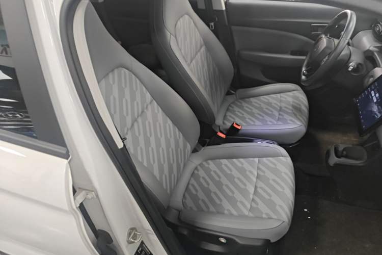 Used Leapmotor T03 2024 403 Comfort Edition Right Front Seat