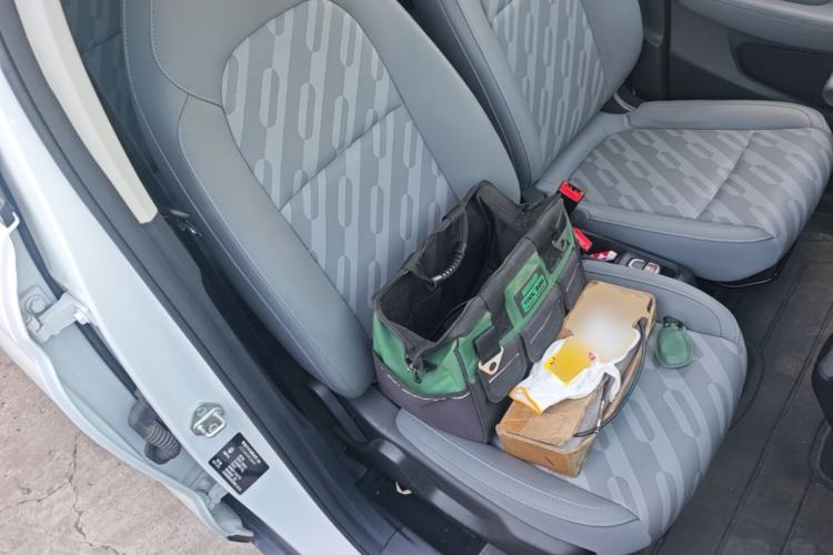 Used Leapmotor T03 2024 403 Comfort Edition Right Front Seat