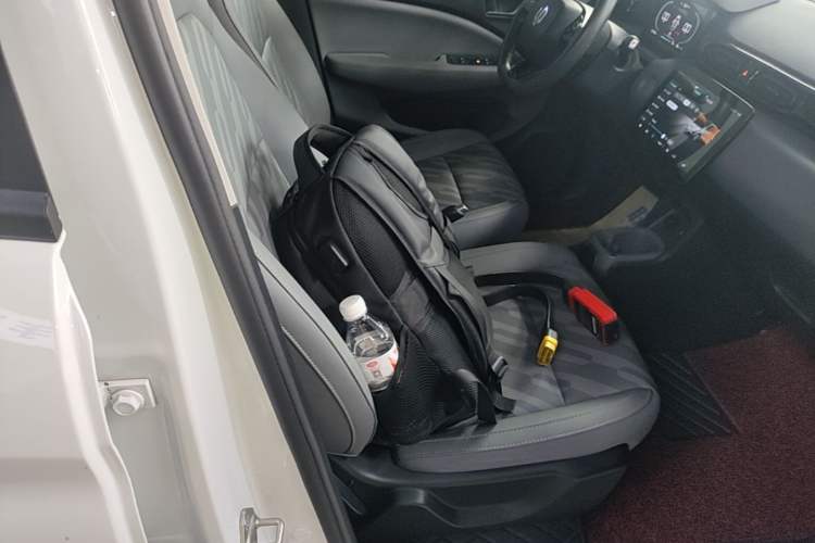 Used Leapmotor T03 2024 200 Lite Edition Right Front Seat