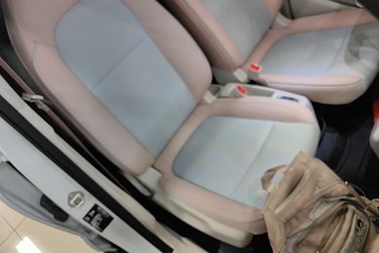 Used Leapmotor T03 2024 310 Comfort Edition Right Front Seat
