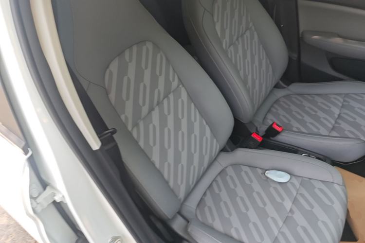 Used Leapmotor T03 2024 310 Comfort Edition Right Front Seat