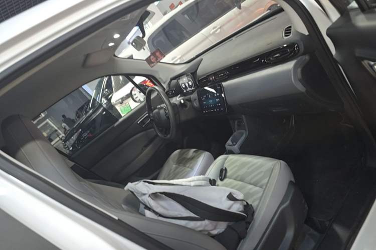 Used Leapmotor T03 2024 200 Lite Edition Right Front Seat