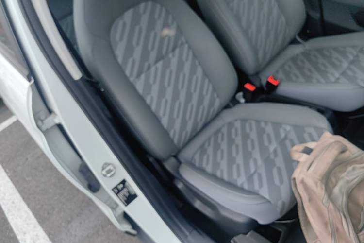 Used Leapmotor T03 2024 403 Comfort Edition Right Front Seat