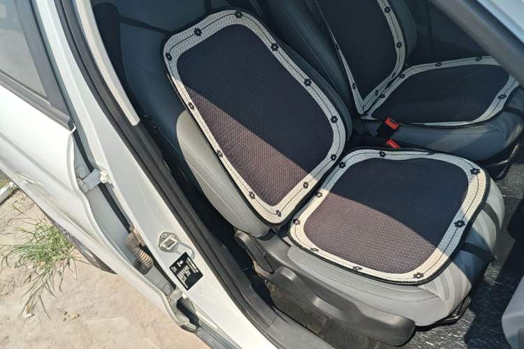 Used Leapmotor T03 2024 310 Comfort Edition Right Front Seat