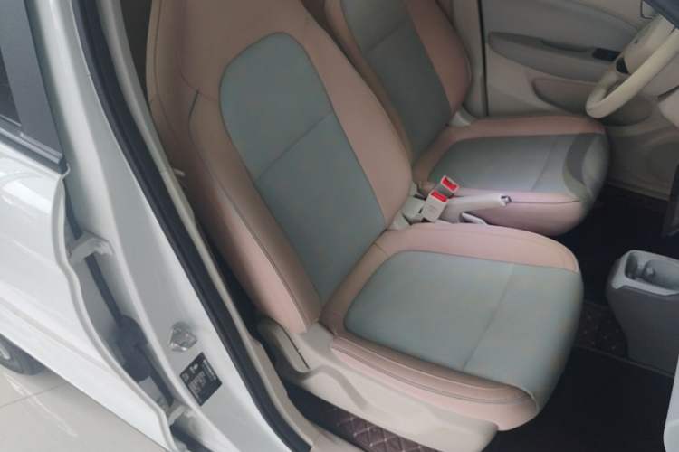 Used Leapmotor T03 2024 200 Lite Edition Right Front Seat