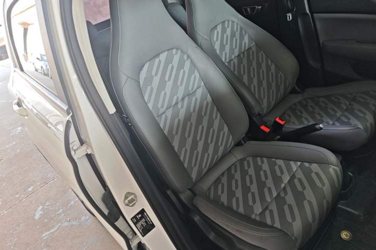 Used Leapmotor T03 2024 200 Lite Edition Right Front Seat