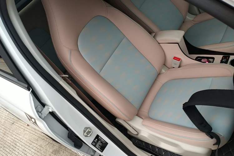 Used Leapmotor T03 2024 310 Comfort Edition Right Front Seat