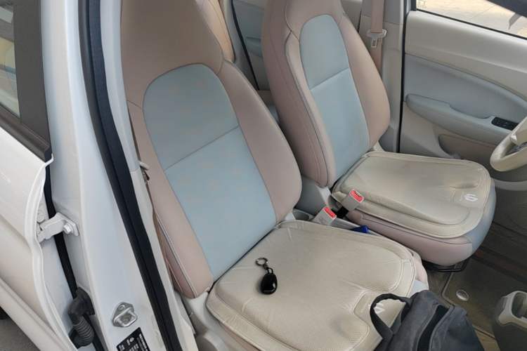 Used Leapmotor T03 2024 310 Comfort Edition Right Front Seat
