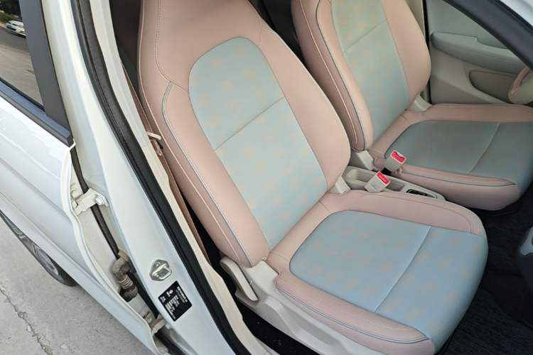 Used Leapmotor T03 2024 310 Comfort Edition Right Front Seat