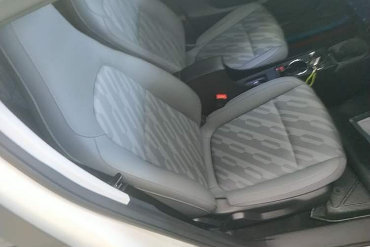 Used Leapmotor T03 2024 310 Comfort Edition Right Front Seat