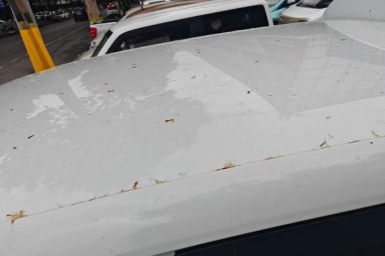 Used Leapmotor T03 2024 200 Lite Edition Roof