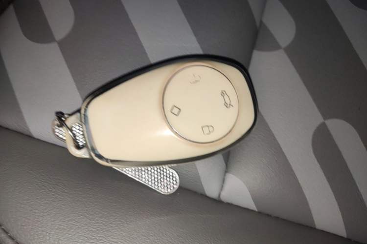 Used Leapmotor T03 2024 310 Comfort Edition Vehicle Key