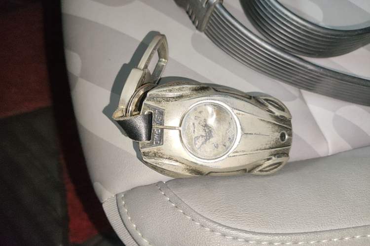 Used Leapmotor T03 2024 200 Lite Edition Vehicle Key