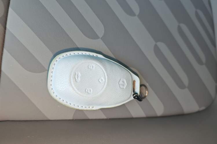 Used Leapmotor T03 2024 310 Comfort Edition Vehicle Key