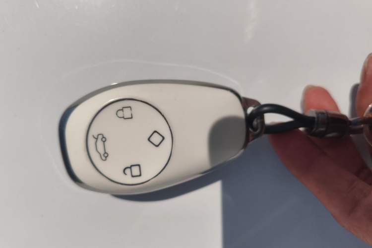 Used Leapmotor T03 2024 310 Comfort Edition Vehicle Key