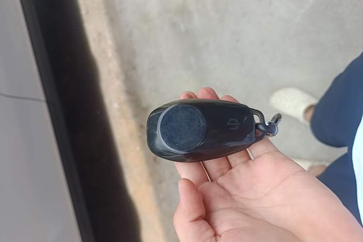 Used Leapmotor T03 2024 200 Lite Edition Vehicle Key