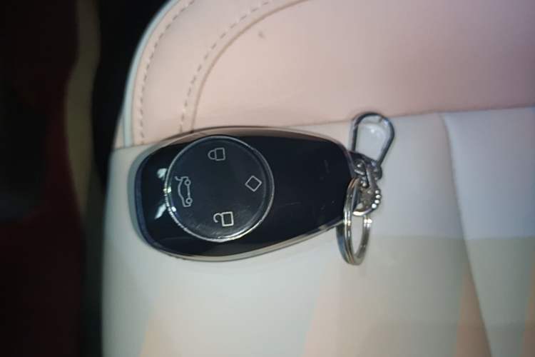 Used Leapmotor T03 2024 310 Comfort Edition Vehicle Key