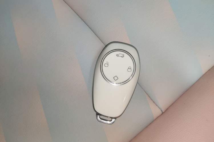 Used Leapmotor T03 2024 310 Comfort Edition Vehicle Key