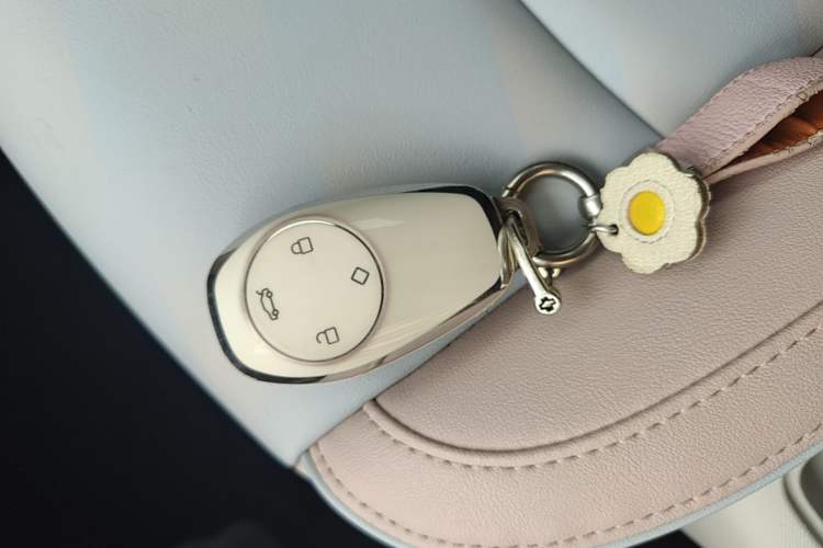 Used Leapmotor T03 2024 310 Comfort Edition Vehicle Key