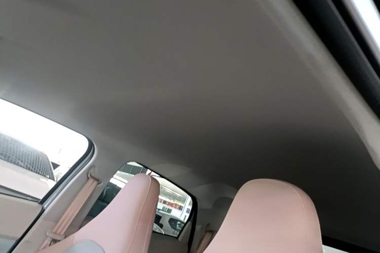 Used Leapmotor T03 2025 310 Comfort Edition Headliner