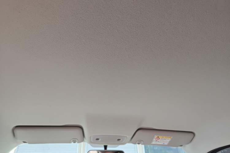 Used Leapmotor T03 2025 310 Comfort Edition Headliner