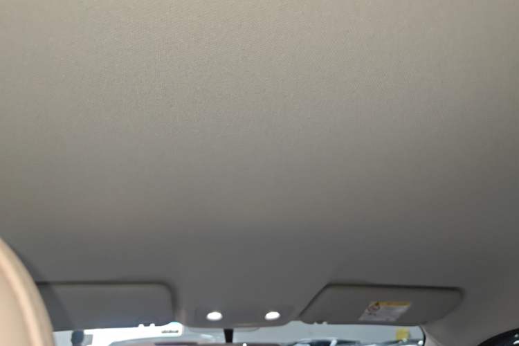 Used Leapmotor T03 2025 310 Comfort Edition Headliner