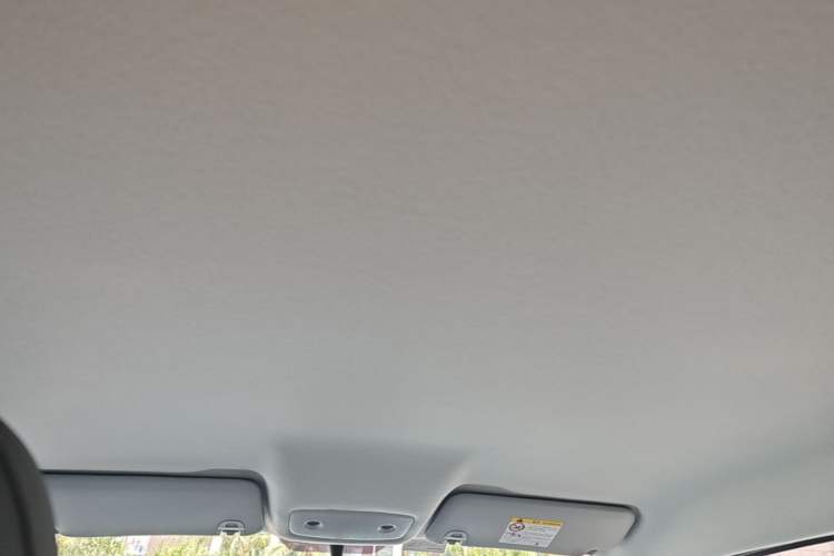 Used Leapmotor T03 2025 403 Comfort Edition Headliner