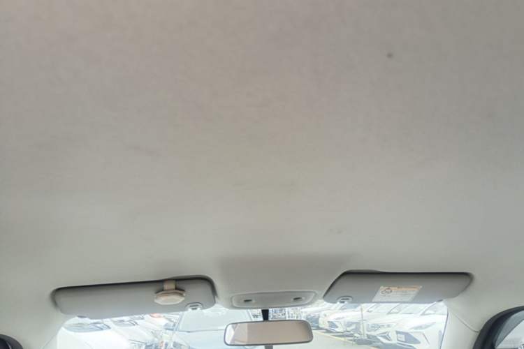 Used Leapmotor T03 2025 403 Comfort Edition Headliner