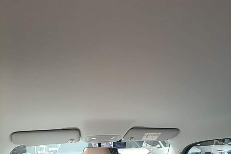 Used Leapmotor T03 2025 403 Comfort Edition Headliner
