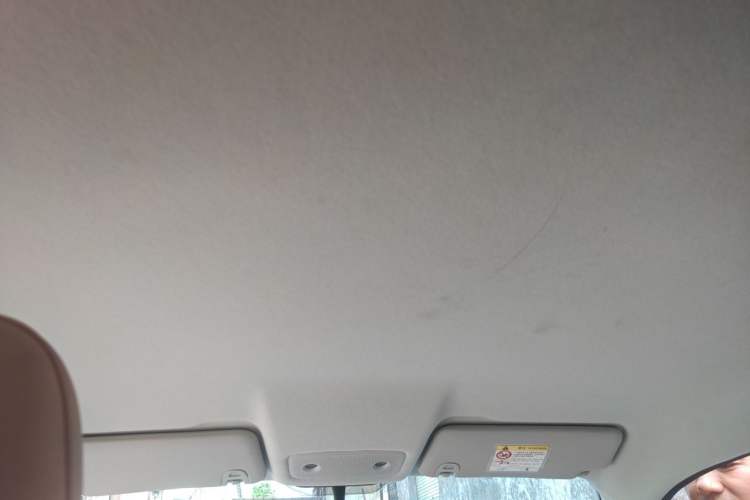 Used Leapmotor T03 2025 310 Comfort Edition Headliner