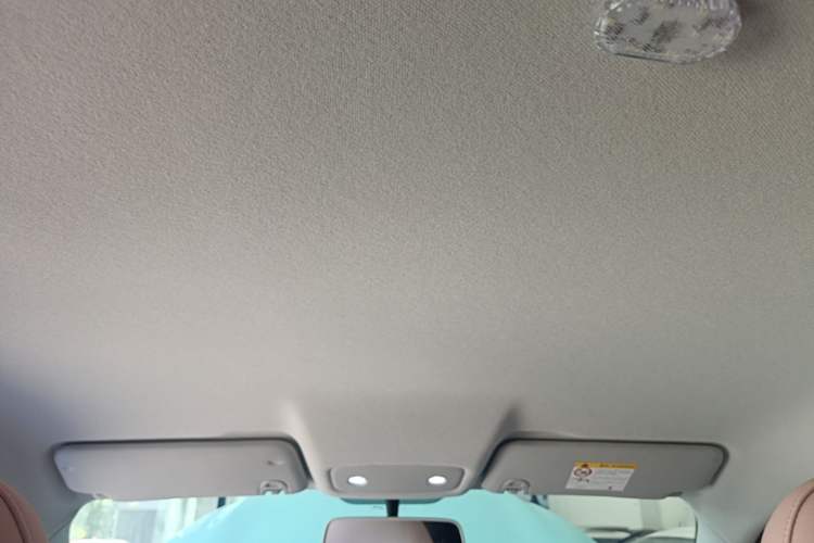 Used Leapmotor T03 2025 310 Comfort Edition Headliner