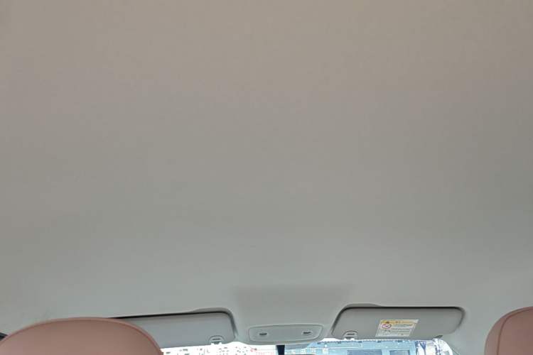 Used Leapmotor T03 2025 310 Comfort Edition Headliner