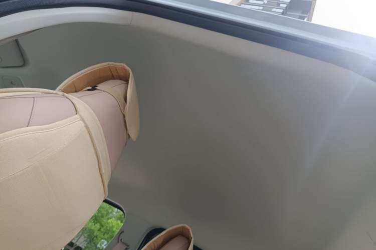 Used Leapmotor T03 2025 310 Comfort Edition Headliner