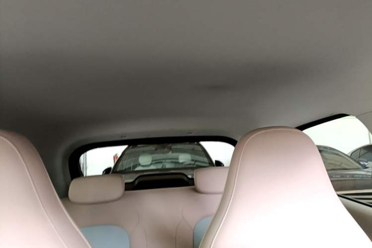 Used Leapmotor T03 2025 403 Comfort Edition Headliner