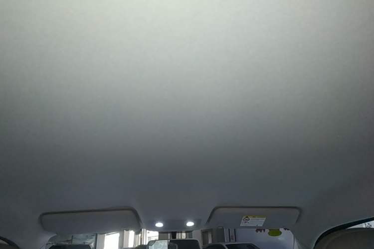 Used Leapmotor T03 2025 403 Comfort Edition Headliner