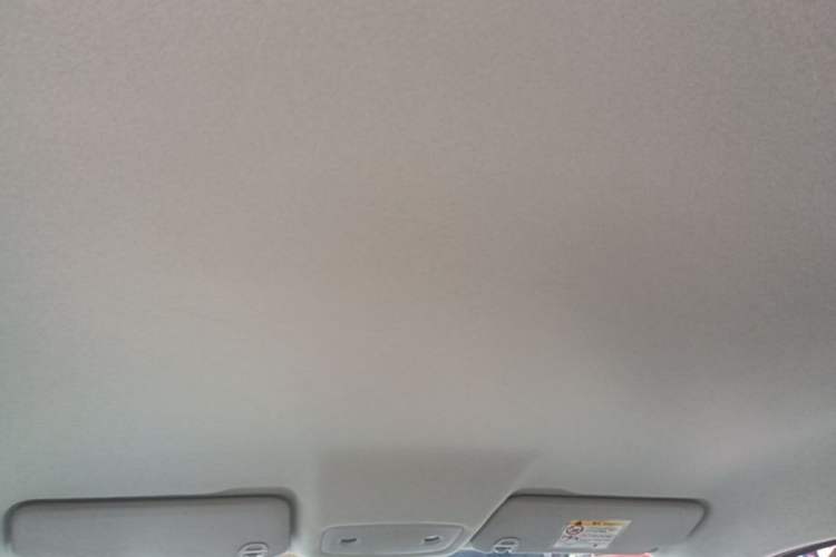 Used Leapmotor T03 2025 310 Comfort Edition Headliner