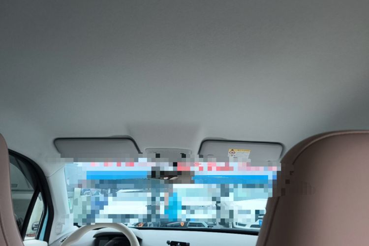 Used Leapmotor T03 2025 403 Comfort Edition Headliner