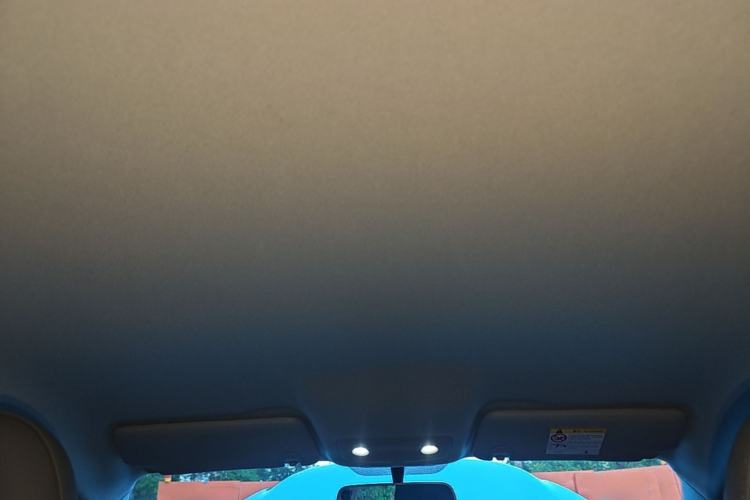Used Leapmotor T03 2025 403 Comfort Edition Headliner