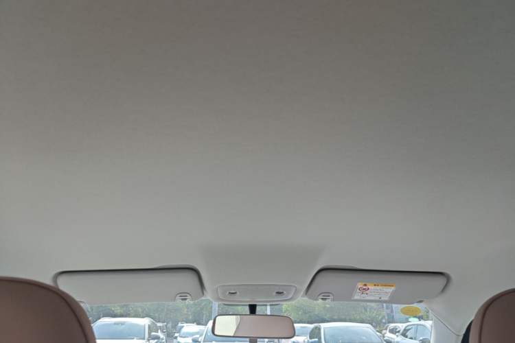 Used Leapmotor T03 2025 310 Comfort Edition Headliner