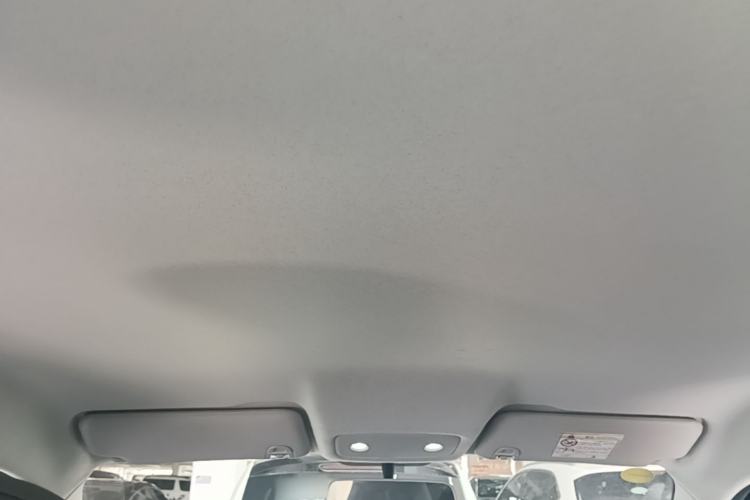 Used Leapmotor T03 2025 403 Comfort Edition Headliner
