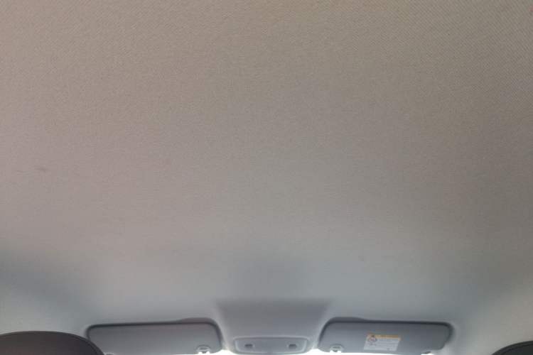 Used Leapmotor T03 2025 310 Comfort Edition Headliner