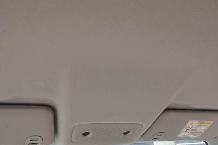 Used Leapmotor T03 2025 310 Comfort Edition Headliner